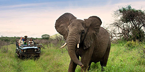 تور آفریقای جنوبی