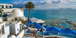 تور تونس